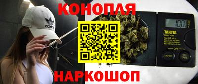 mdpv Кингисепп