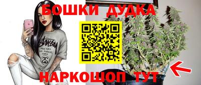 mdpv Кингисепп