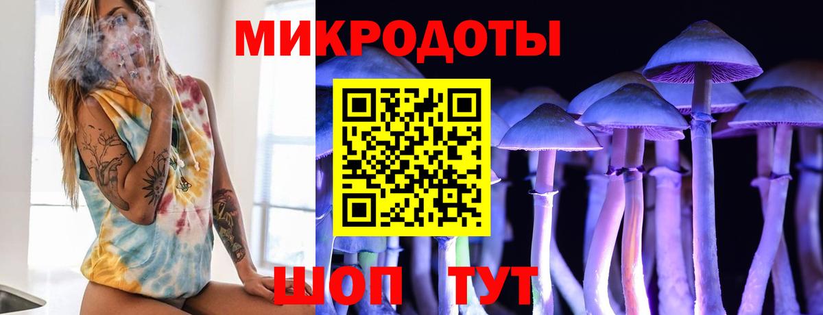 Галлюциногенные грибы прущие грибы Котлас